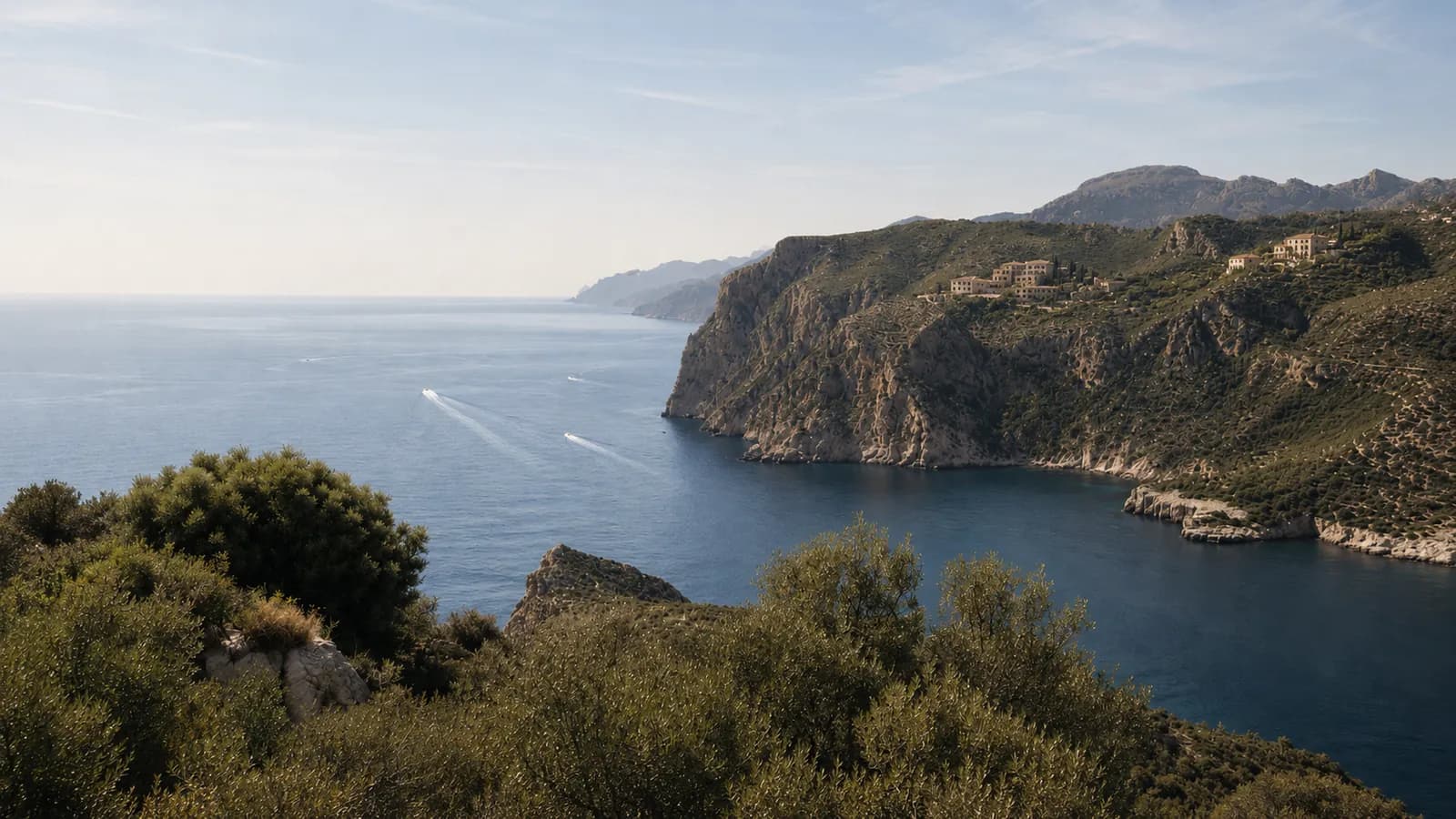 Patrimoni i successions